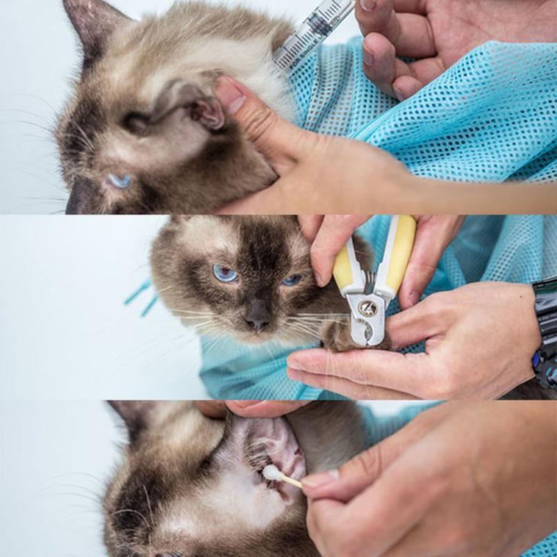 Badetasche für Katzen